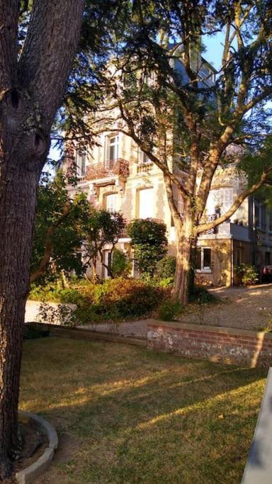 Appartement Sur Le Port, 105M Rez De Jardin Avec Parc Privatif Saint-Valery-en-Caux Eksteriør billede
