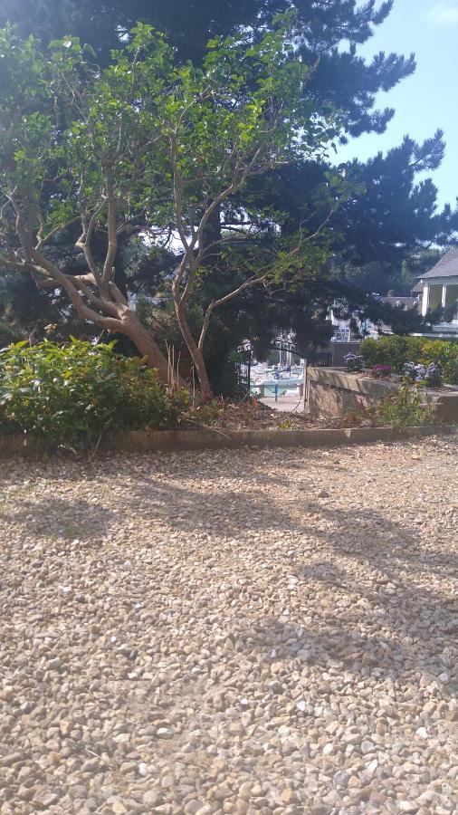 Appartement Sur Le Port, 105M Rez De Jardin Avec Parc Privatif Saint-Valery-en-Caux Eksteriør billede